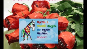 Поздравления на заказ